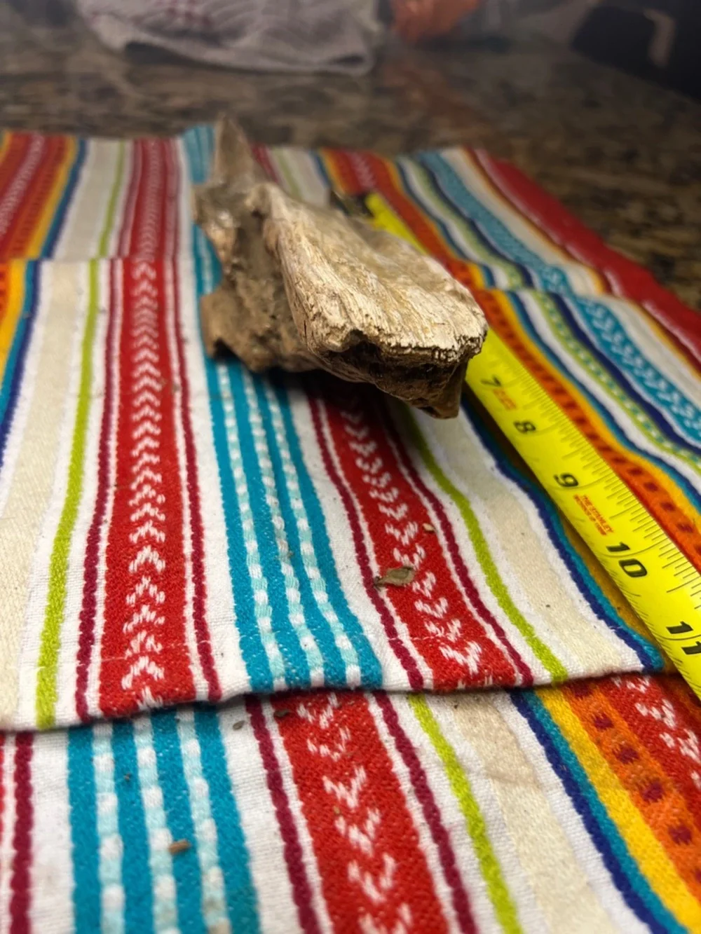 Natural Driftwood Reptile Habitat Décor - Brown